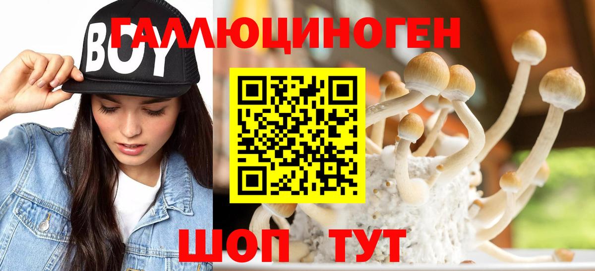 Псилоцибиновые грибы мухоморы Серпухов