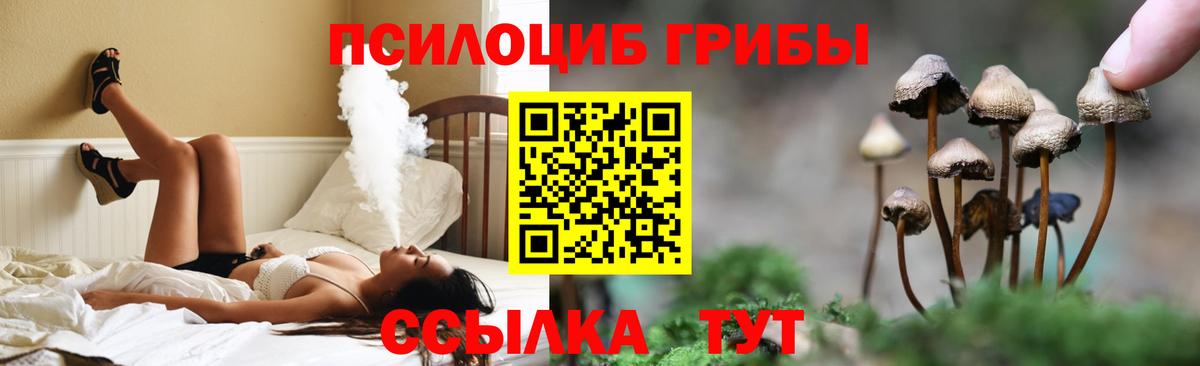 Галлюциногенные грибы Magic Shrooms  Вход с VPN  Псилоцибиновые грибы Psilocybine cubensis  Серпухов 